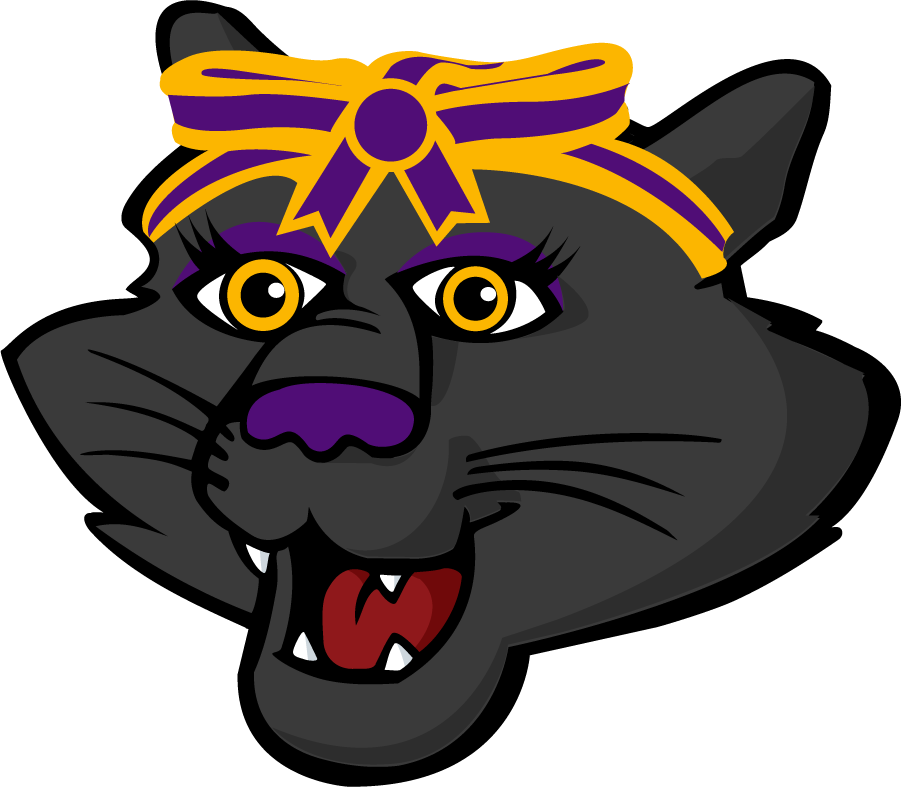 Northern Iowa Panthers 2021-Pres Mascot Logo iron on transfers for clothing